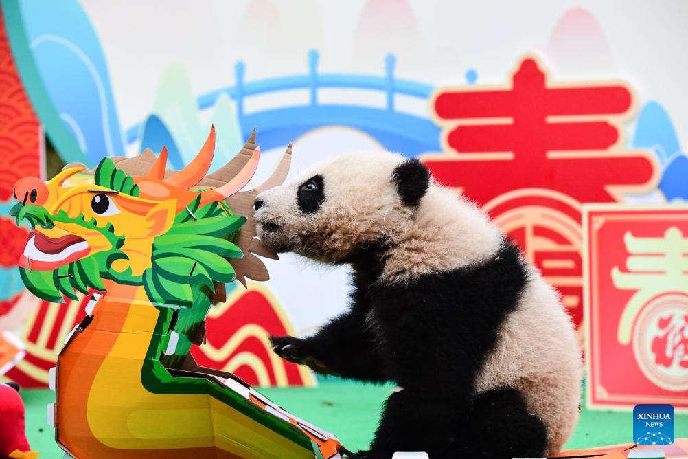 FOREIGN1707288263327HX67HIGZ2O