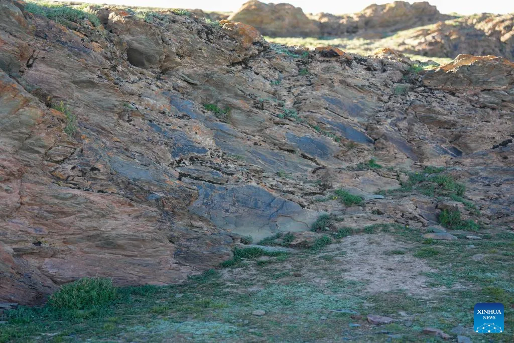 207d548bdee340089ba19680a2f8efda