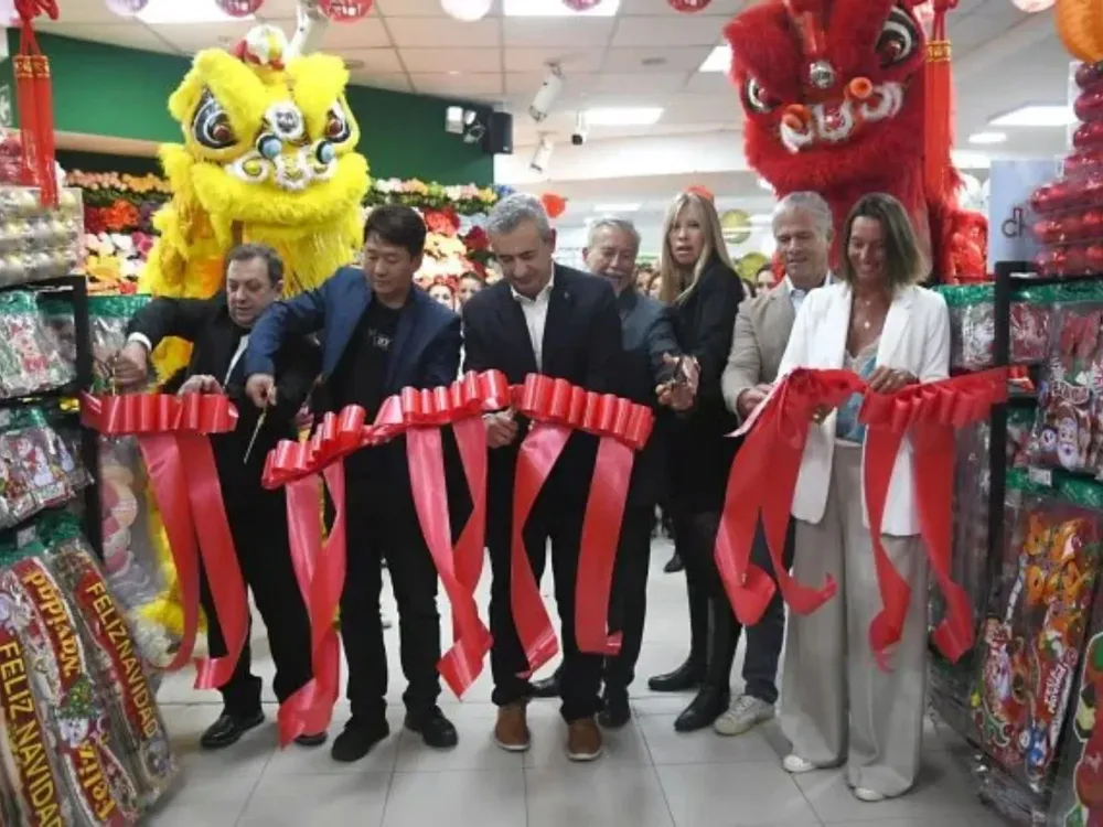 Cami - 2025-10-31T113142.986