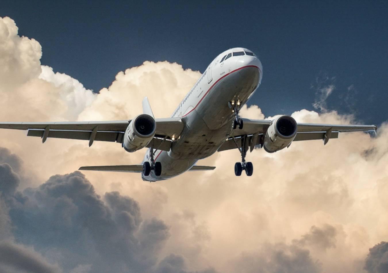 pexels-pixabay-46148 (1)