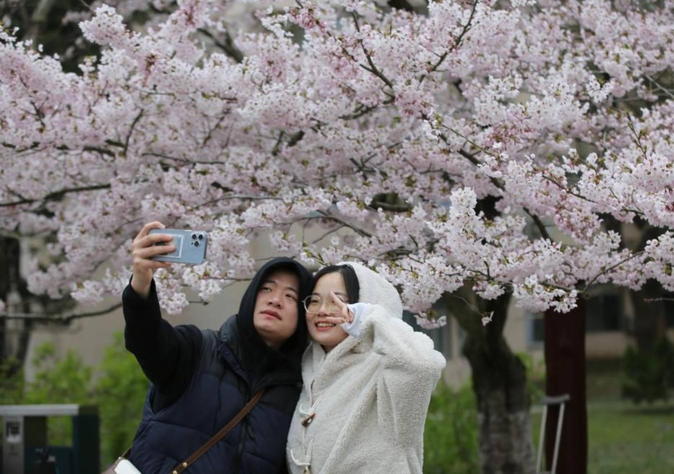 hina registró 24 millones de viajes durante el Festival Qingming. (Foto: Xinhua)
