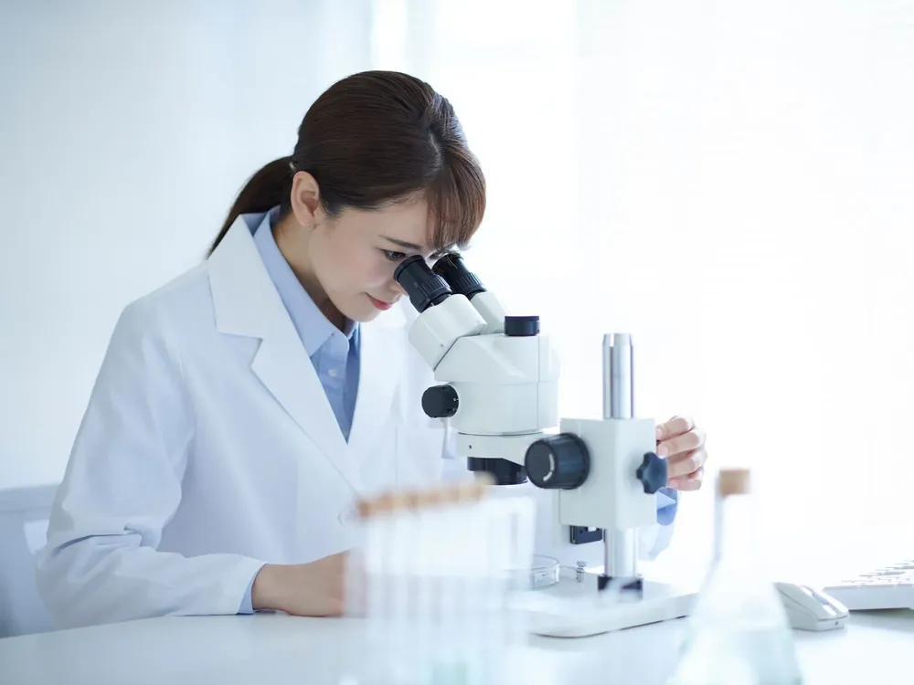 Cami - 2025-11-18T073051.635