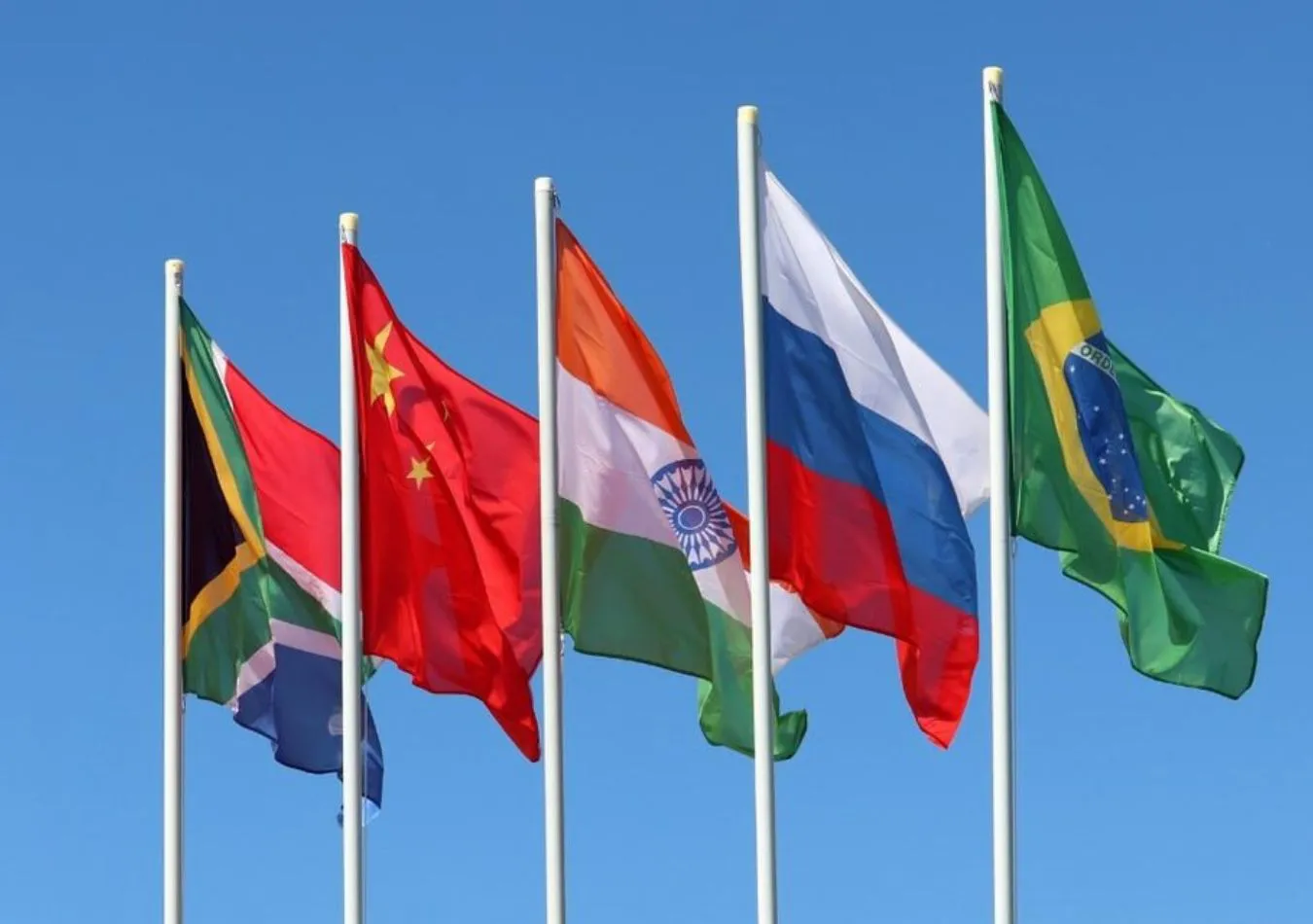 Brics (Foto: Página 12) Brics (Foto: Página 12)