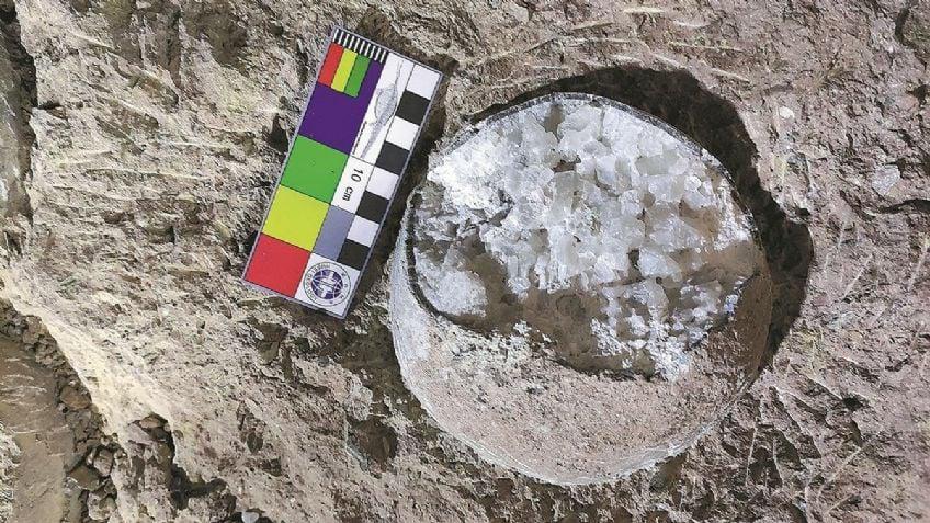 huevo de dinosaurio huevo de dinosaurio