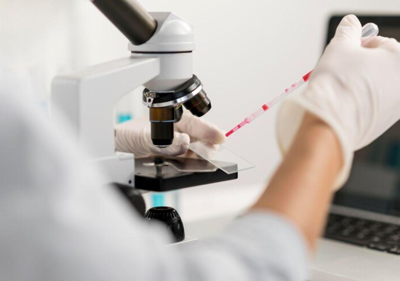 Investigación (Foto: Freepik)