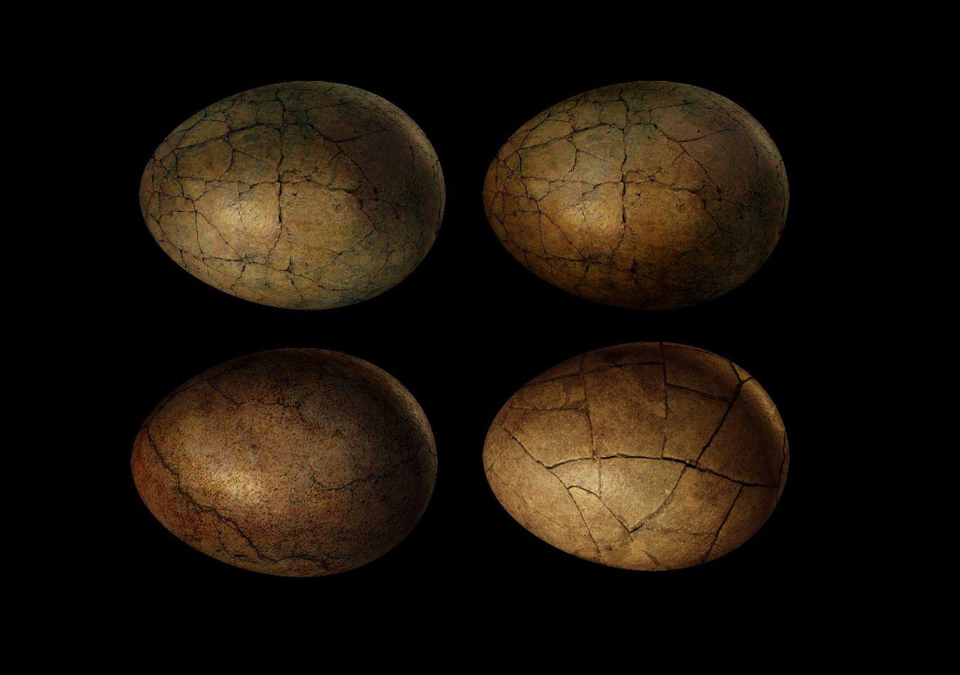 huevos de dinosaurios - Imagen ilustrativa (Foto: Pixabay)