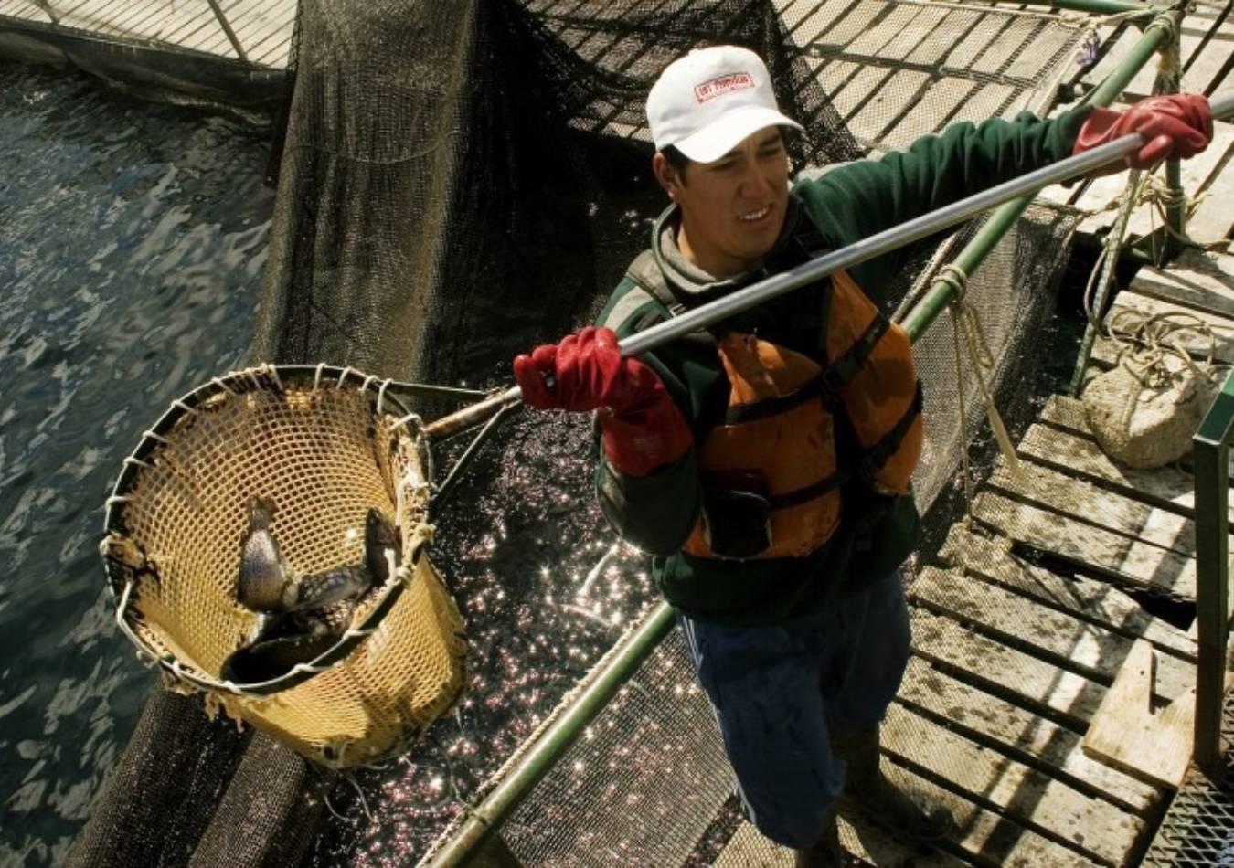 23-12-07_expo_trucha_a_china