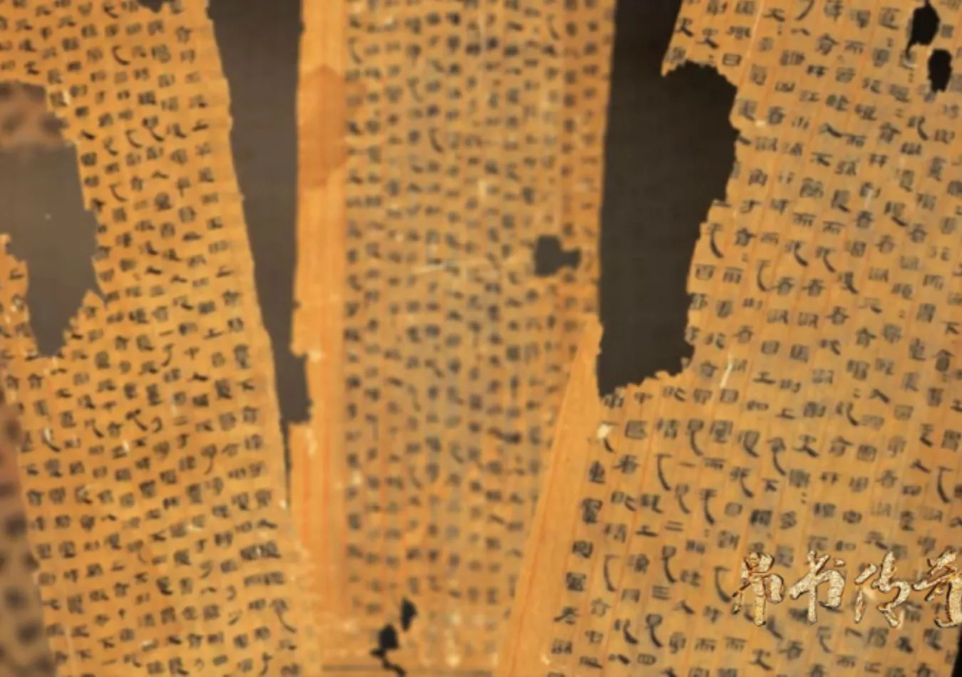 Cami - 2025-04-30T004209.737