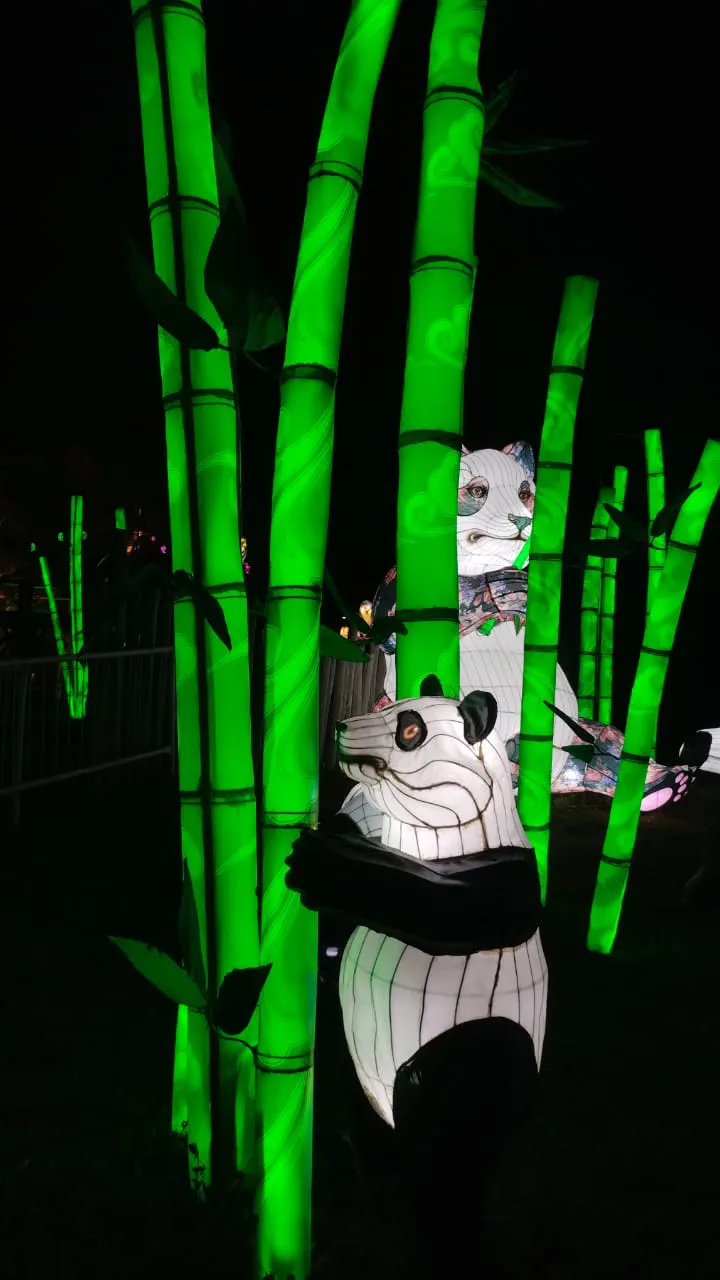 a48ea7e3-ba81-4552-97d6-0047d2ea563e