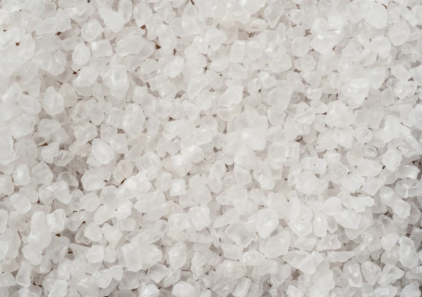 Cami - 2025-06-12T121008.998