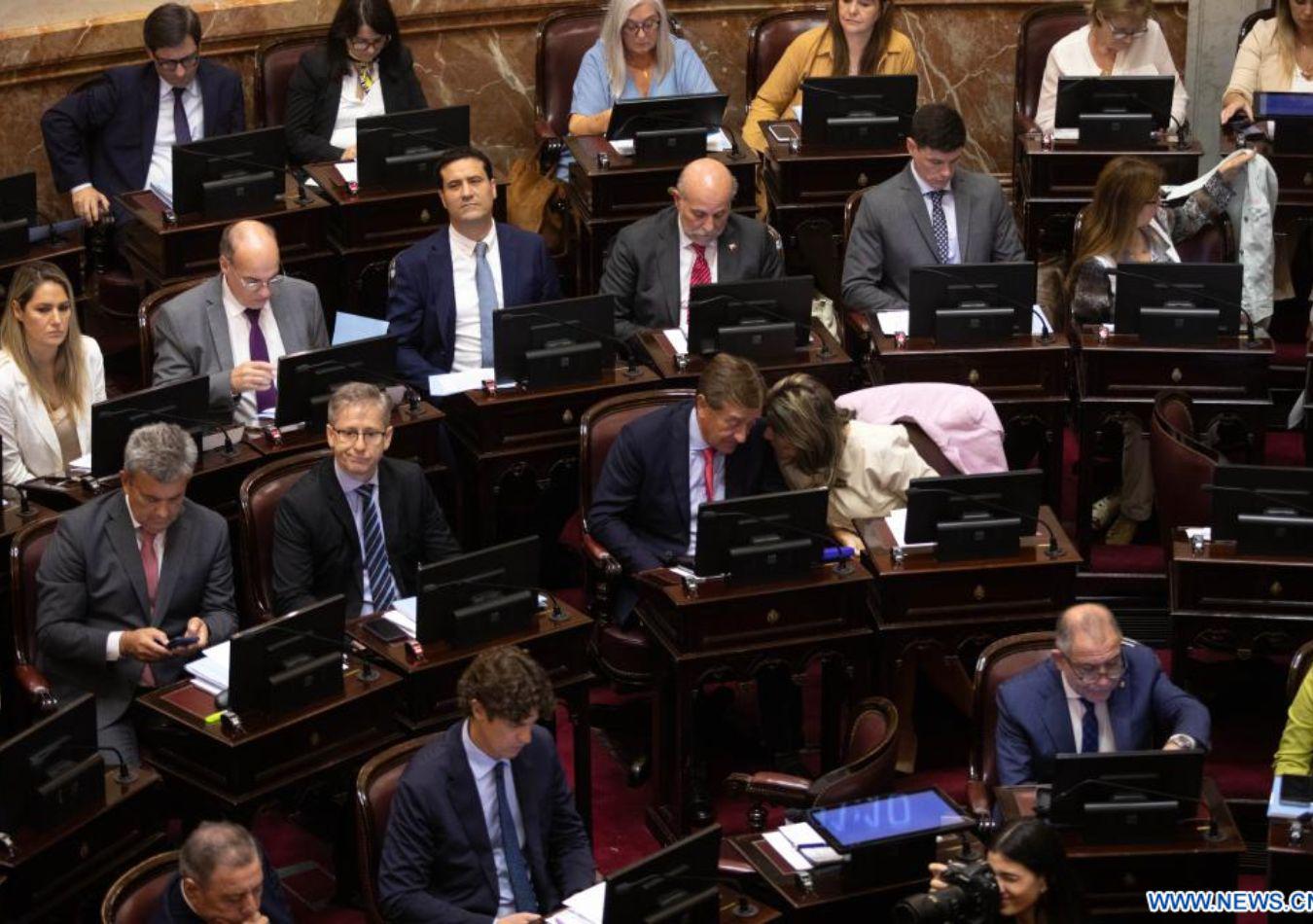 senado argentino (Foto: Xinhua) senado argentino (Foto: Xinhua)