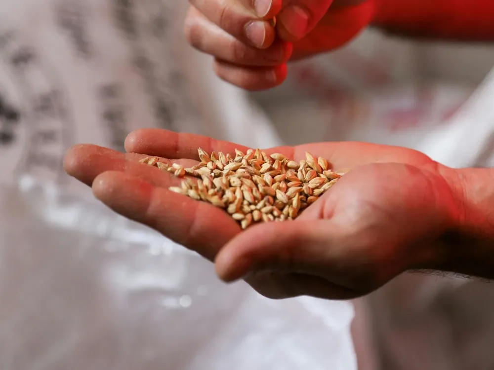 Cami - 2025-12-10T103005.498