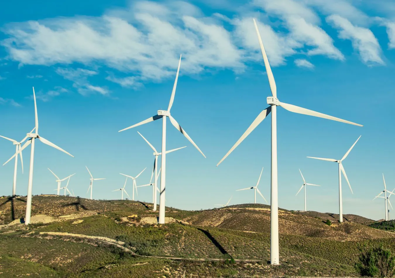 energía eólica - imagen ilustrativa (Foto: Canva)