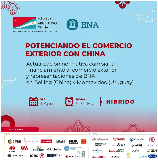 Captura de pantalla 2024-08-02 111244