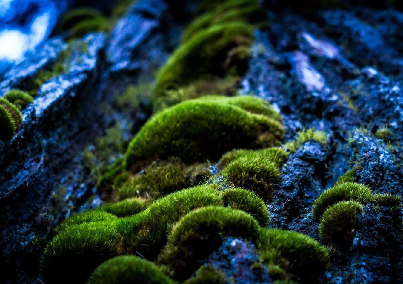 Argenchina - 2024-07-11T111314.561