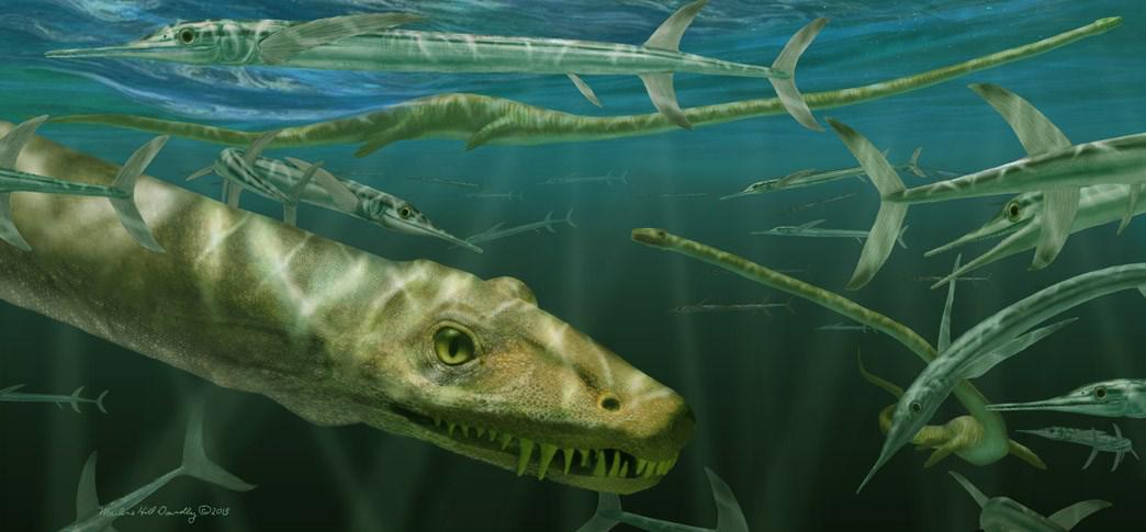 dinocephalosaurus (Foto: National Geographic) 