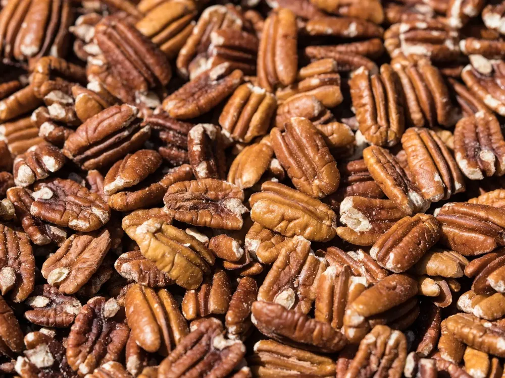 Cami - 2025-12-02T195708.430