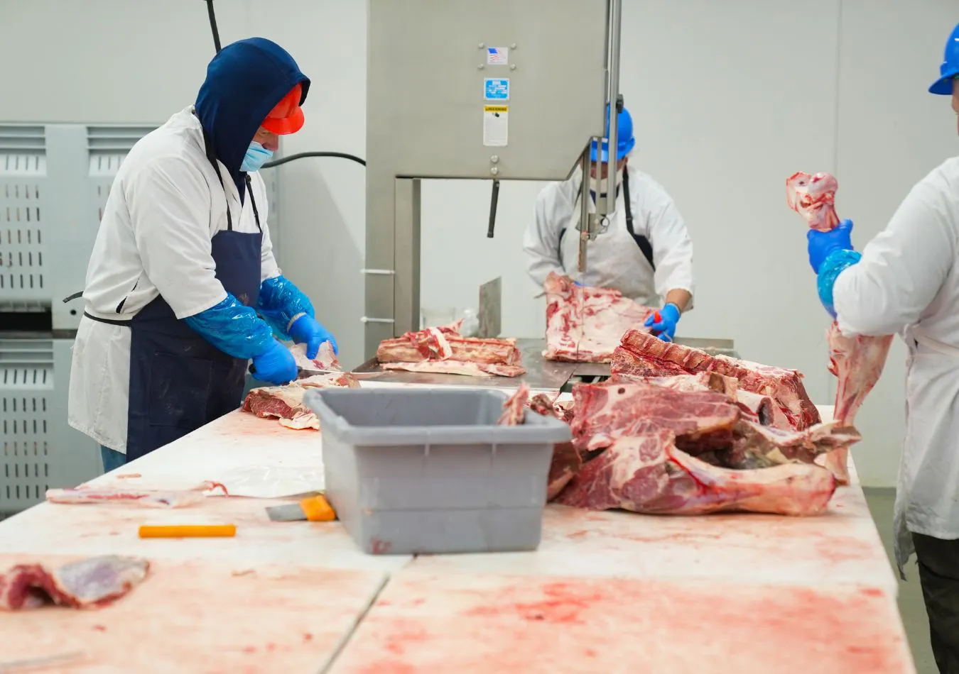 carne - imagen ilustrativa (Foto: canva)