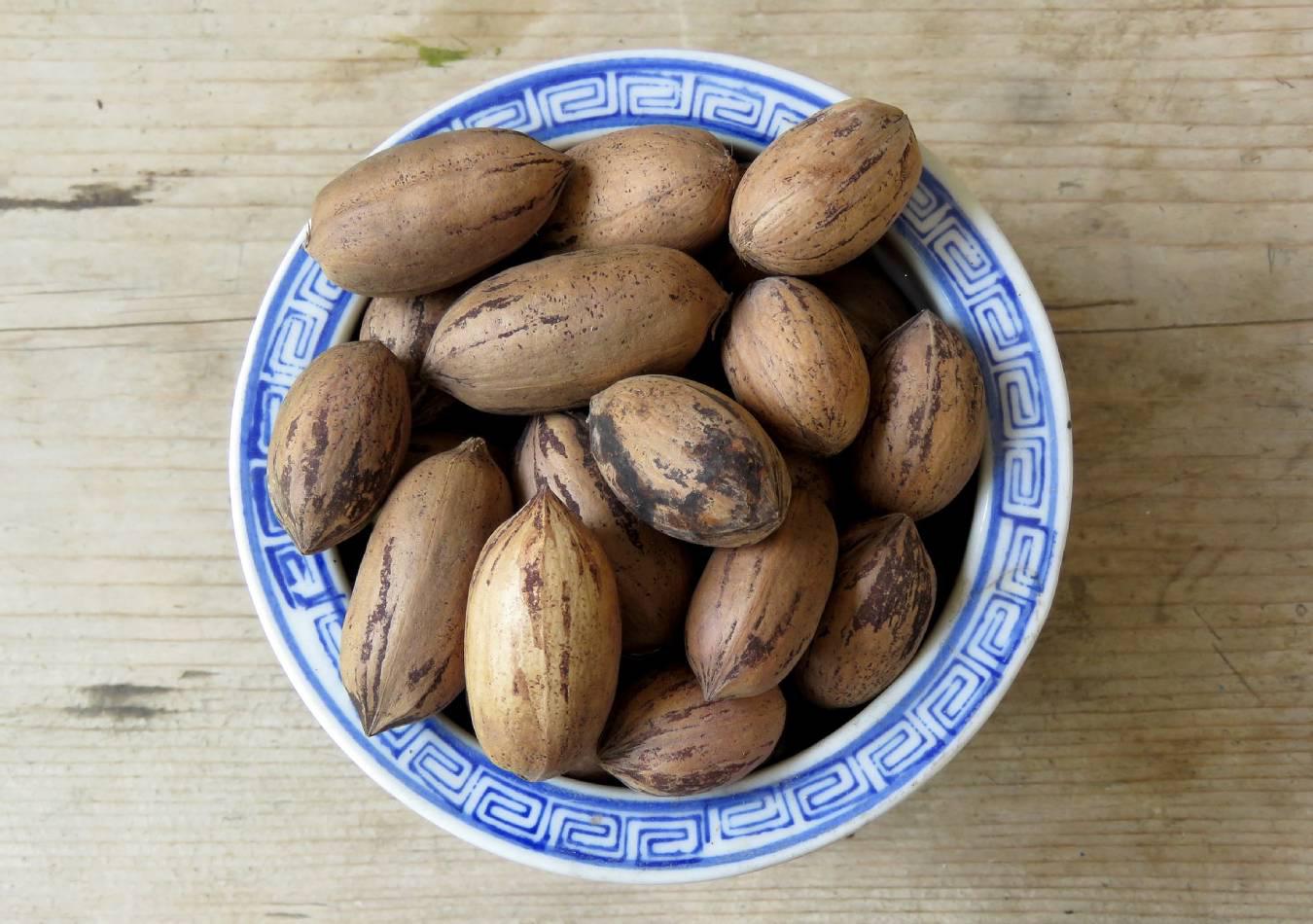 Nueces pecán. (Foto: Pixabay)