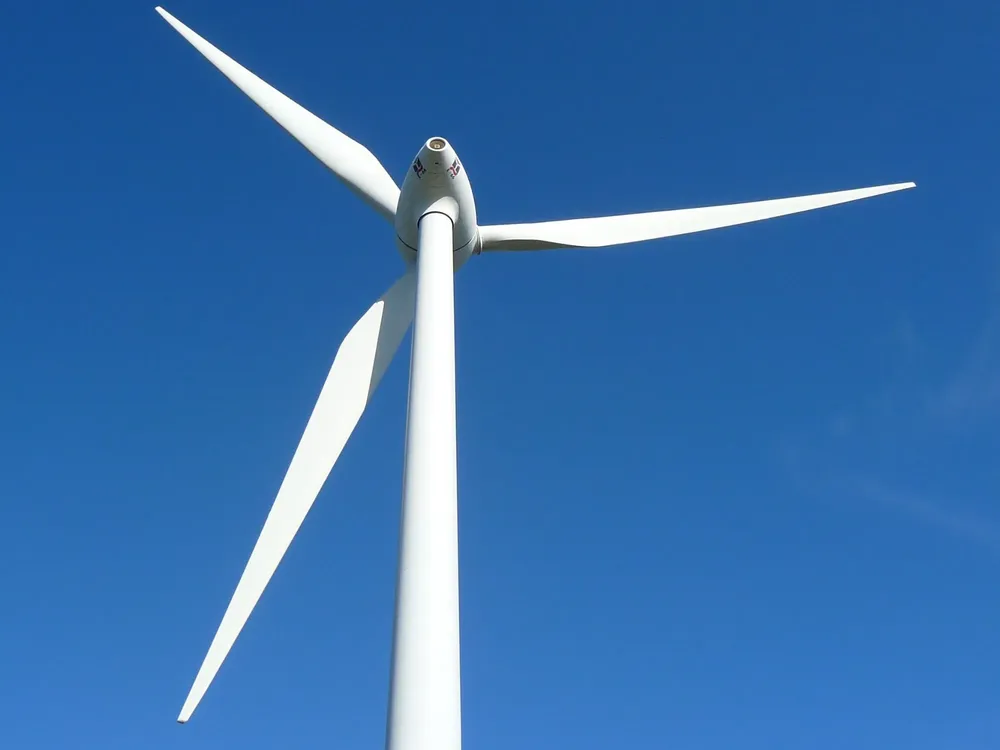 Cami - 2025-11-14T115908.210