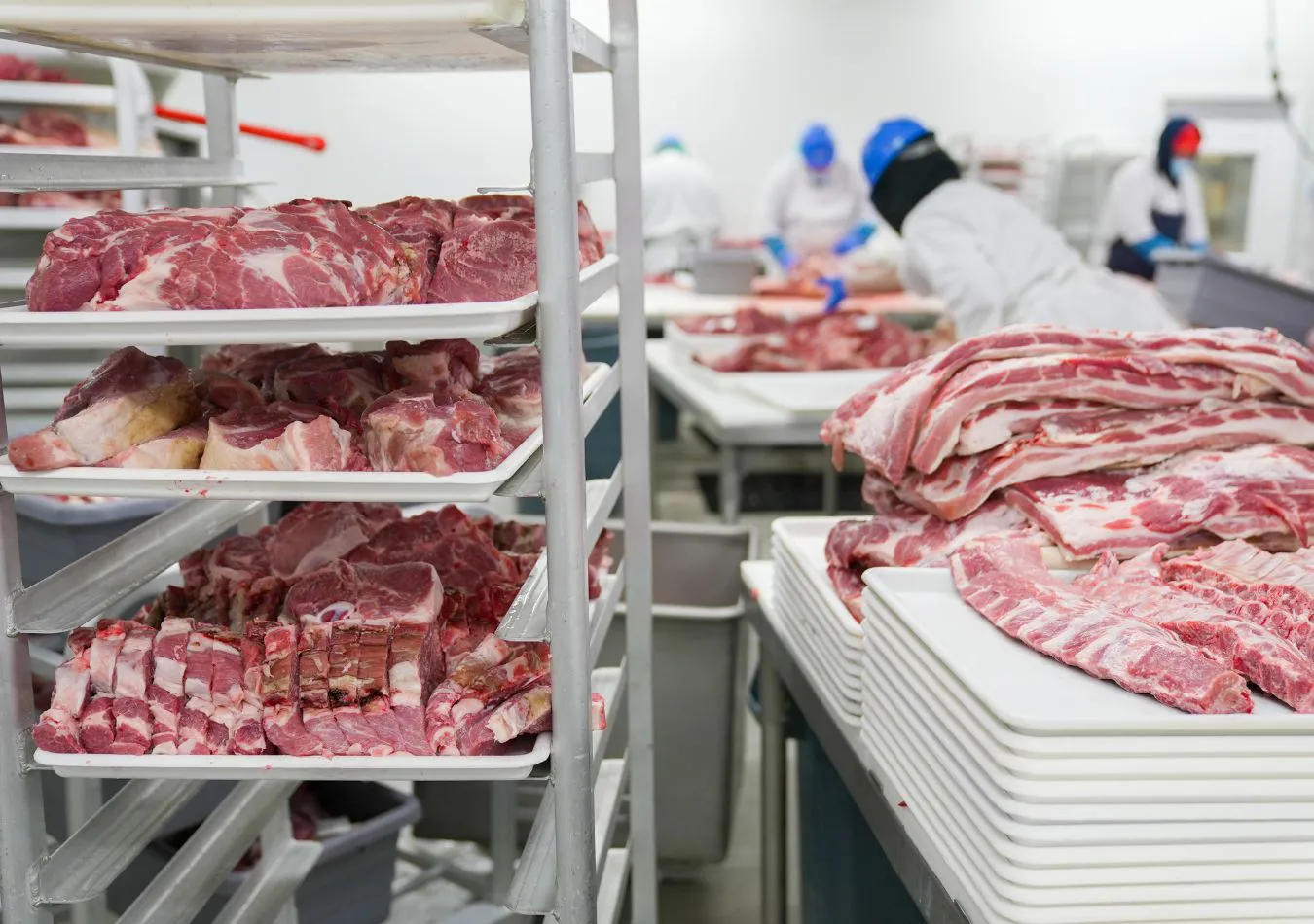 carne - imagen ilustrativa (Foto: canva)