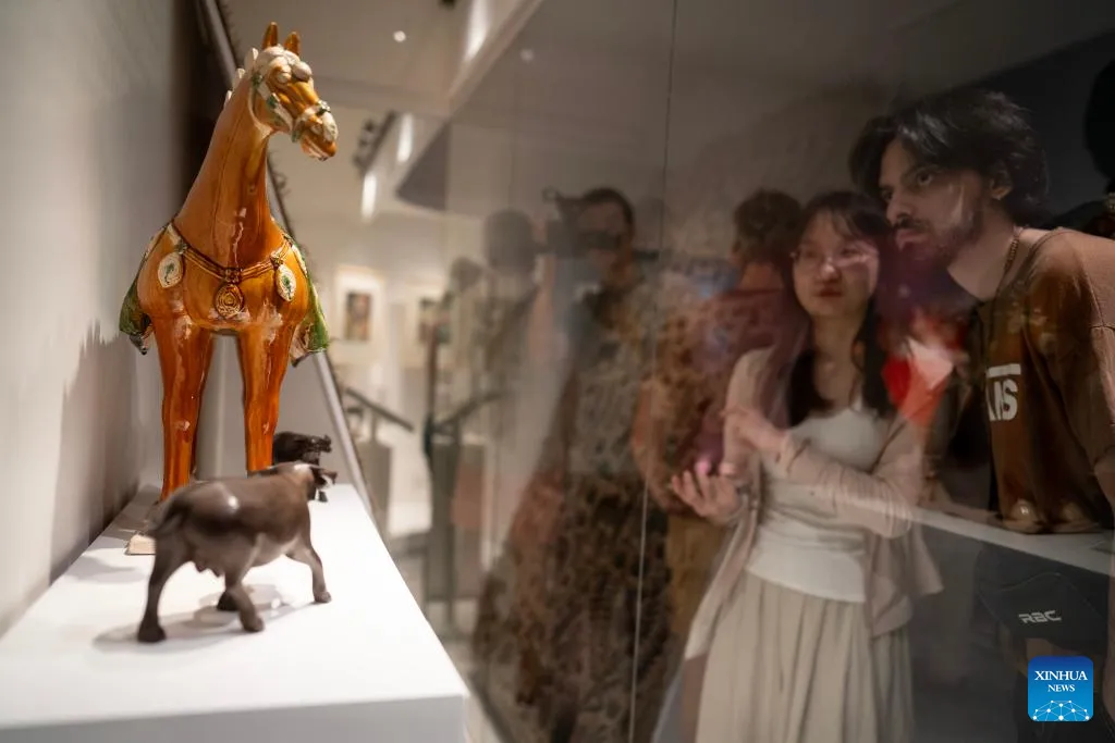 cfacc076b6fb45c0844efba8f9d04584