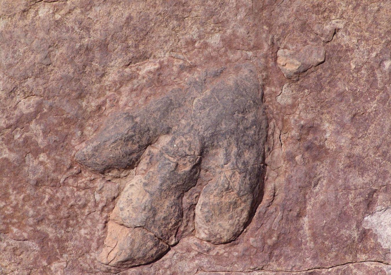 Huella de dinosaurio - Imagen ilustrativa (Foto: Pixabay)