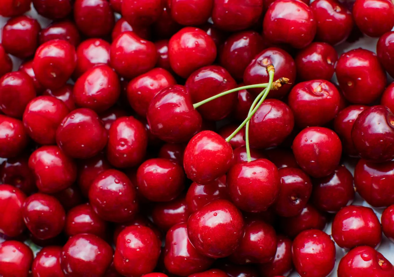 Argenchina - 2024-10-28T124413.682