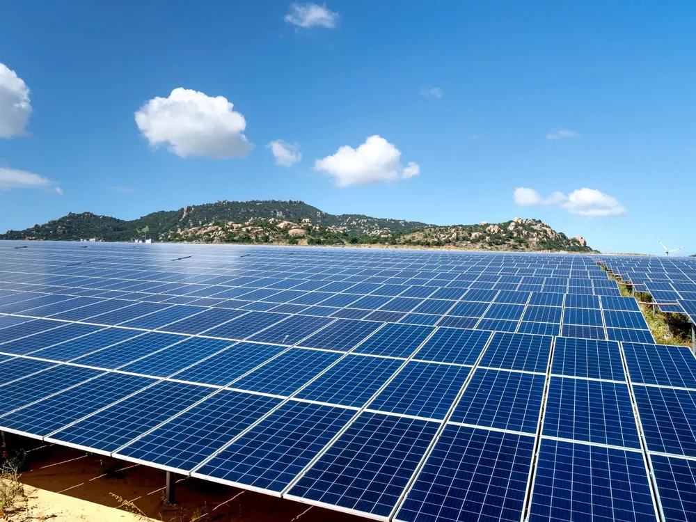 Cami - 2026-01-09T122854.563