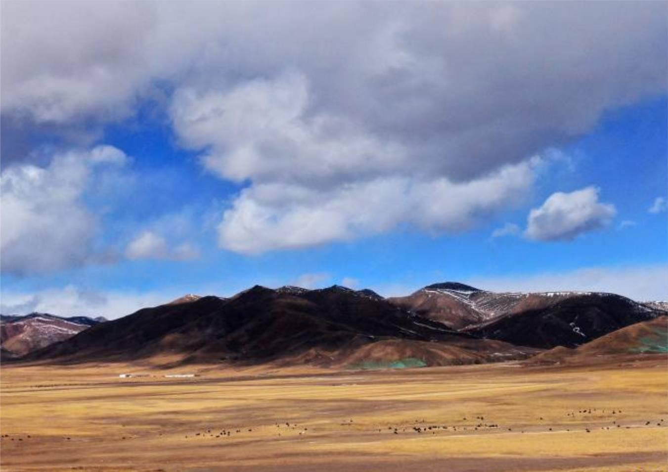 139600257_16082958641661n (1)