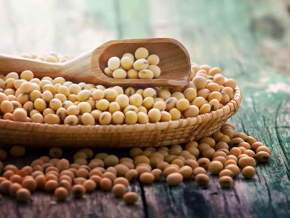 Cami - 2025-08-12T093204.845