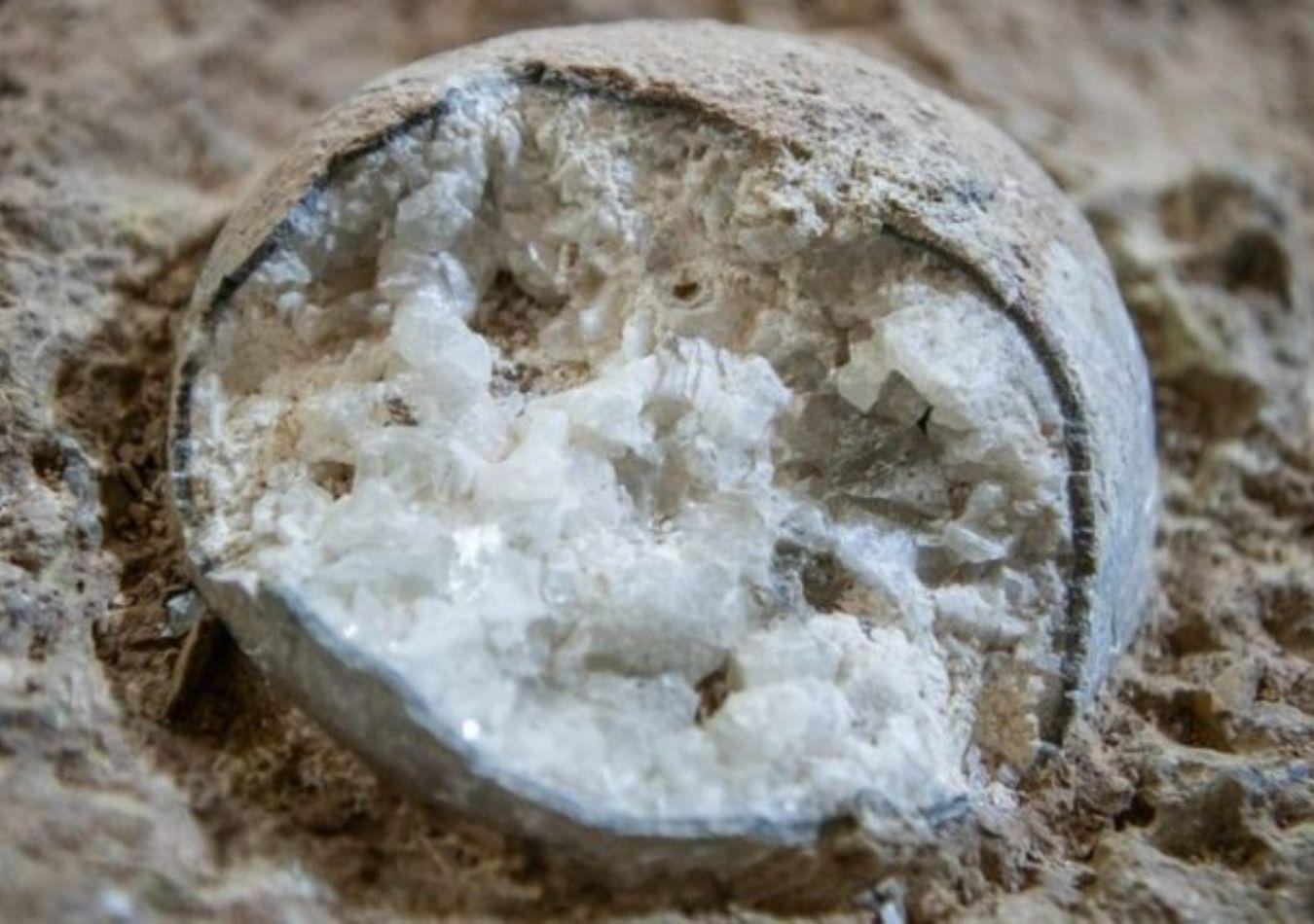 huevo de dinosaurio (Foto: Xinhua)