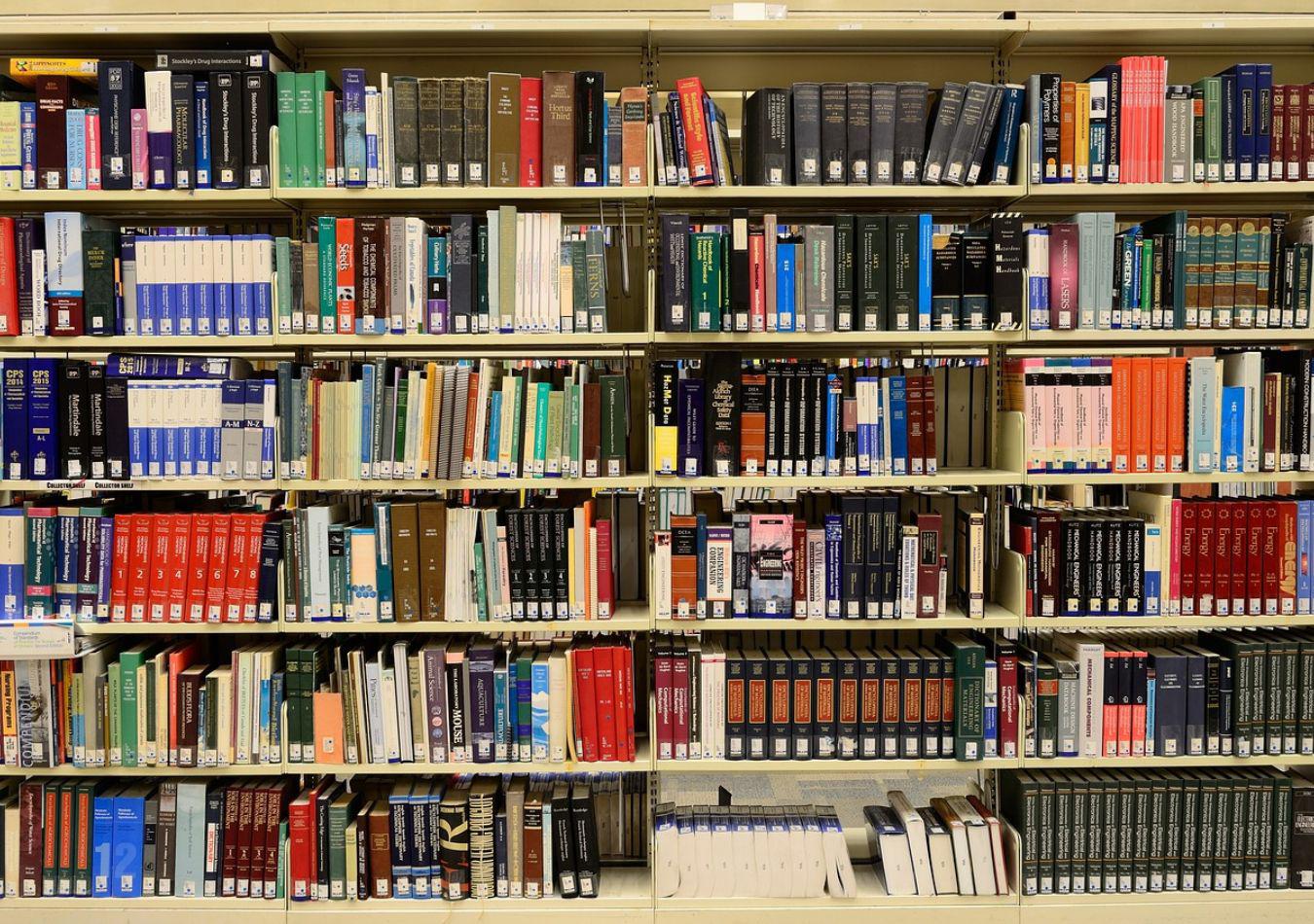 Biblioteca (Foto: Pixabay)